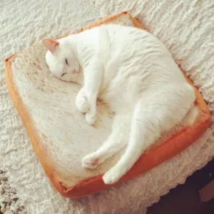 Cozy Toast Cat Bed - Purrfectly Adorable and Comfy for Your Feline Friend!