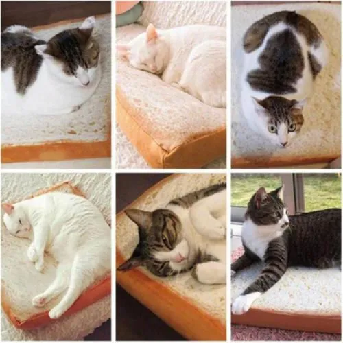 Cozy Toast Cat Bed - Purrfectly Adorable and Comfy for Your Feline Friend!