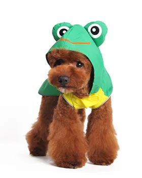 Frog Raincoat in Green