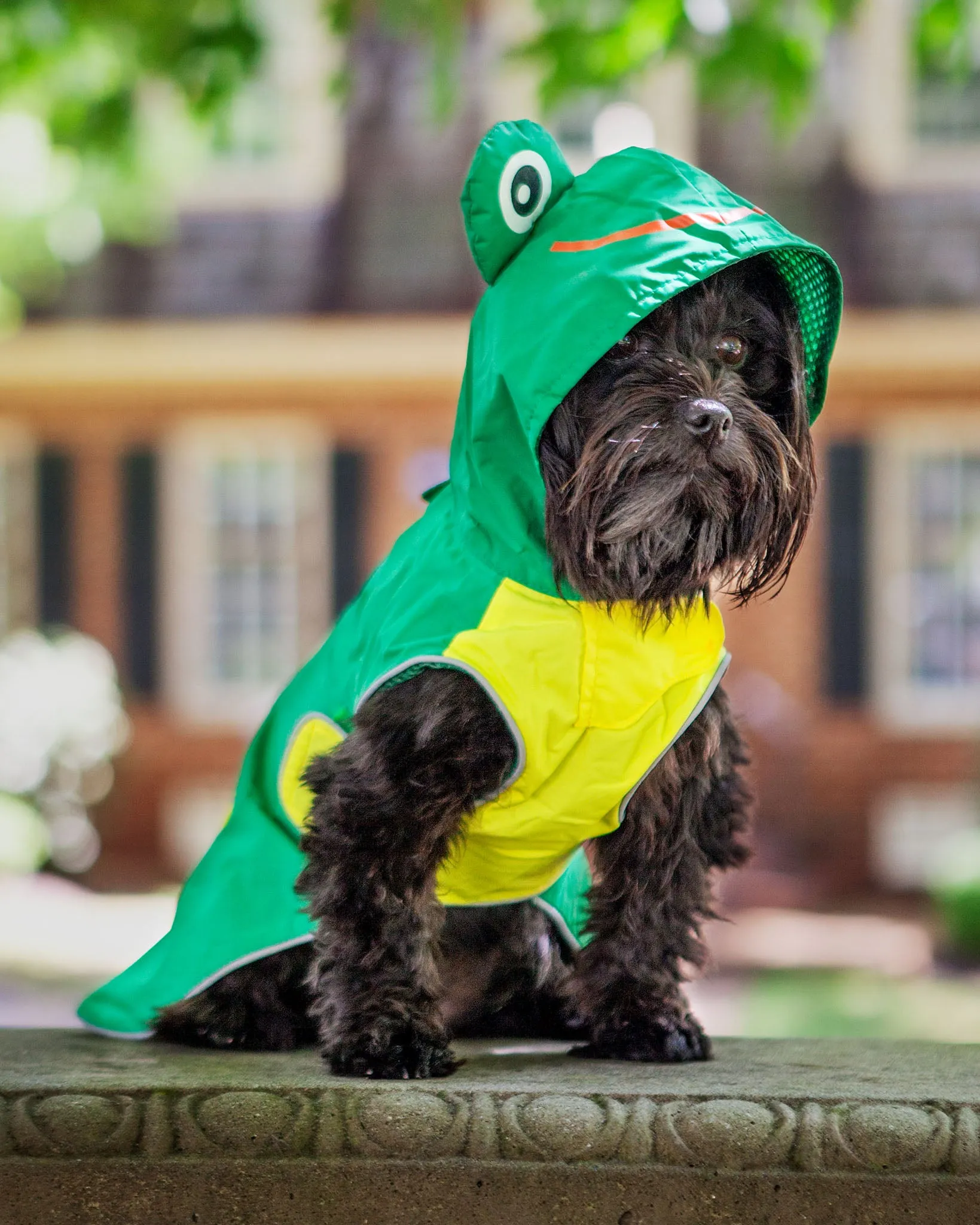 Frog Raincoat in Green