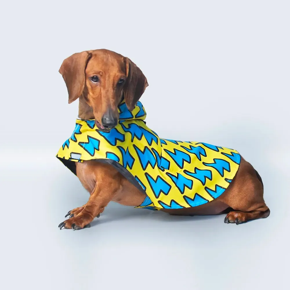 Lightning Printed Cape Style Dog Raincoat