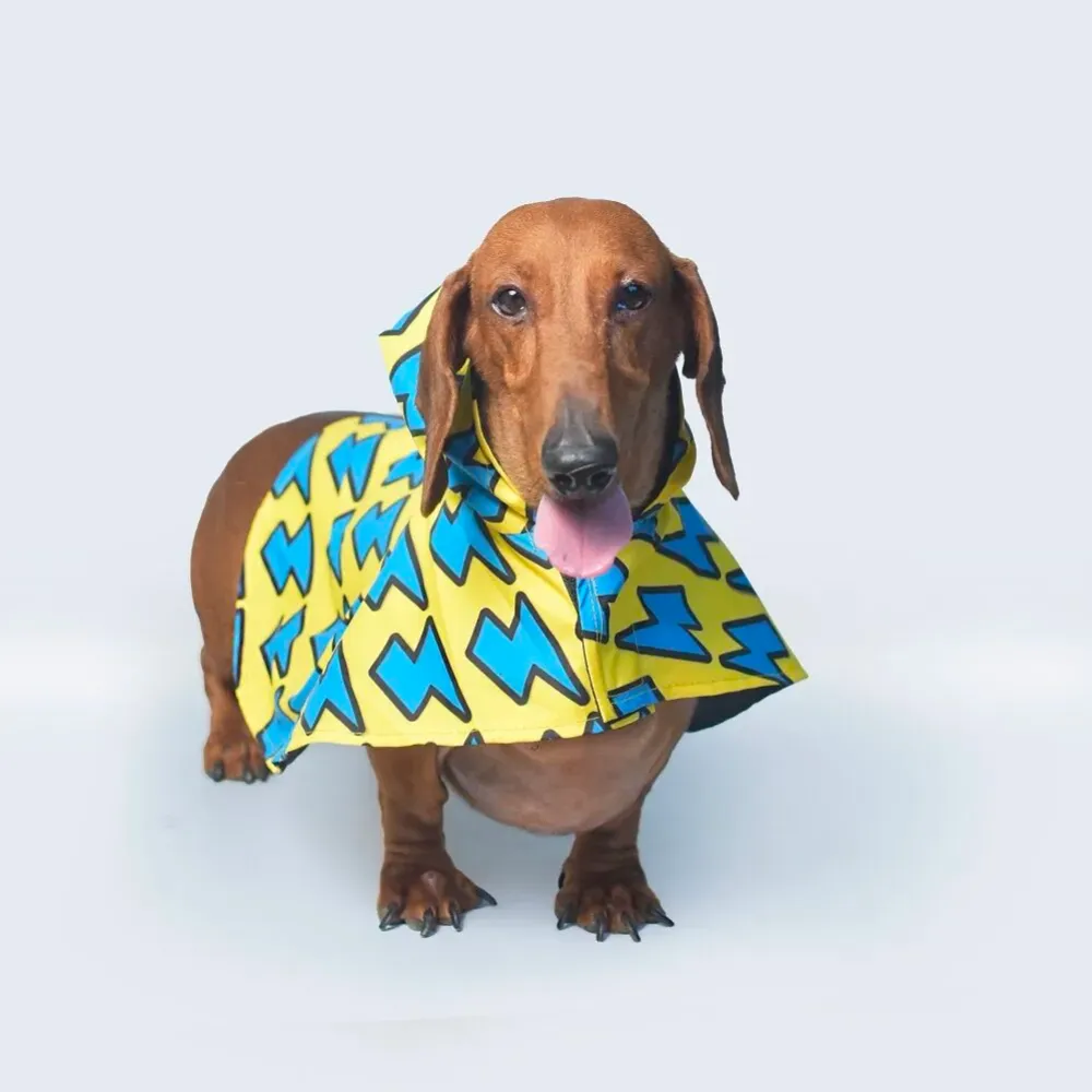 Lightning Printed Cape Style Dog Raincoat