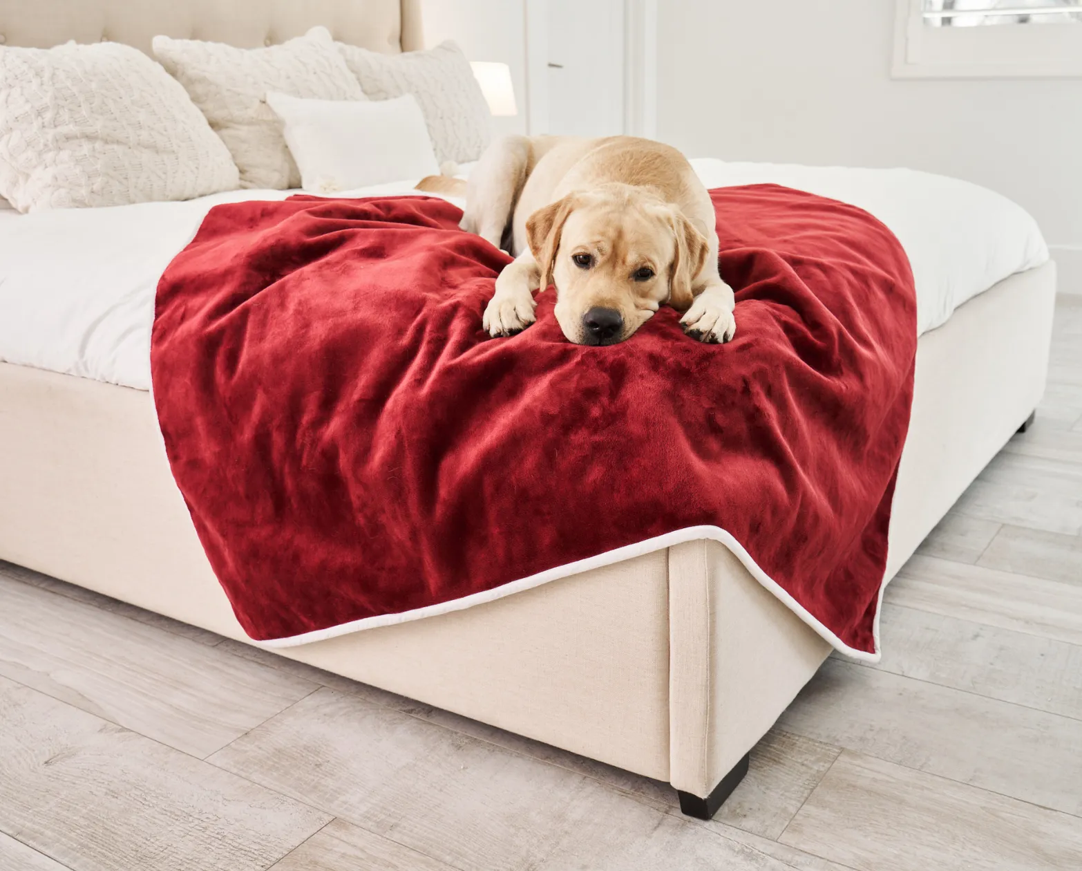 PupProtector™ Waterproof Throw Blanket - Red Velvet