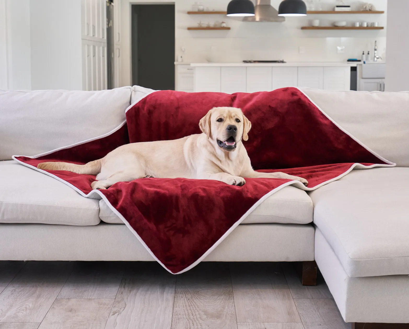 PupProtector™ Waterproof Throw Blanket - Red Velvet