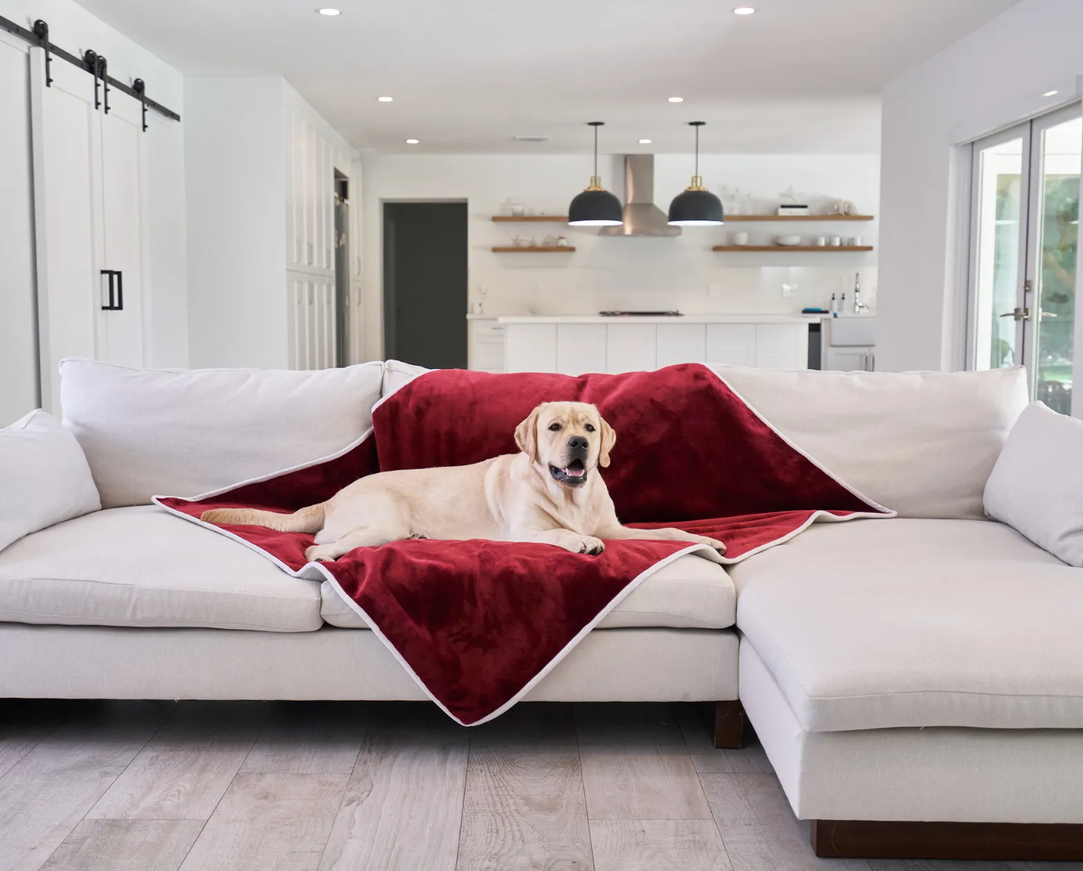 PupProtector™ Waterproof Throw Blanket - Red Velvet