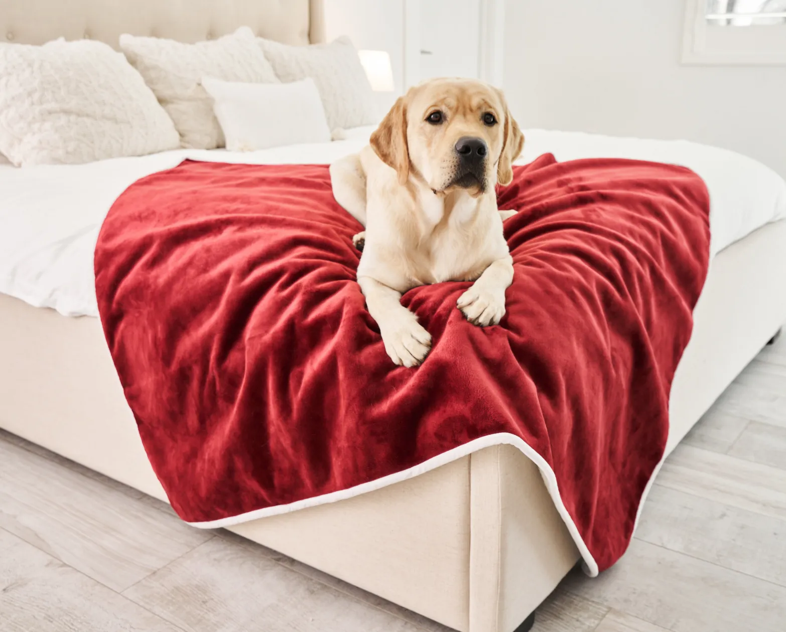 PupProtector™ Waterproof Throw Blanket - Red Velvet